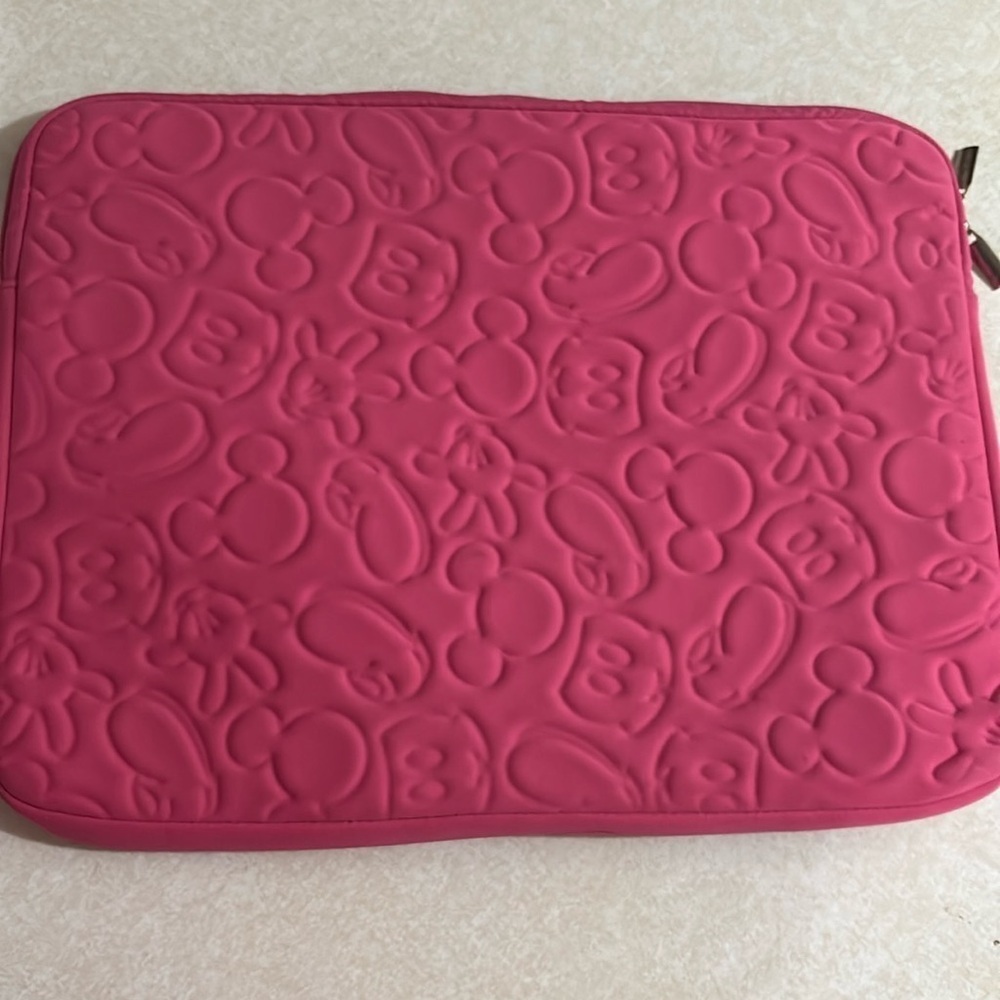 Disney Computer Case